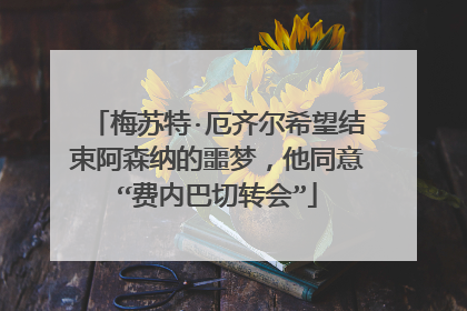 梅苏特·厄齐尔希望结束阿森纳的噩梦，他同意“费内巴切转会”