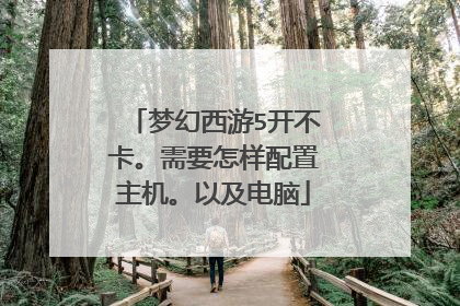 梦幻西游5开不卡。需要怎样配置主机。以及电脑