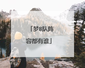 梦8队阵容都有谁