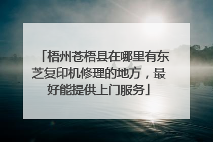 梧州苍梧县在哪里有东芝复印机修理的地方，最好能提供上门服务