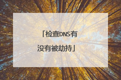 检查DNS有没有被劫持