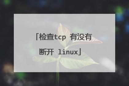 检查tcp 有没有断开 linux
