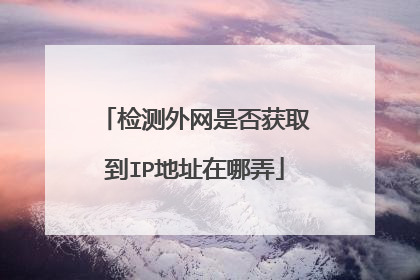 检测外网是否获取到IP地址在哪弄