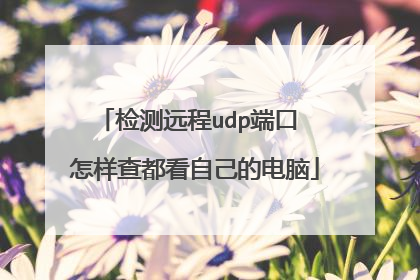 检测远程udp端口 怎样查都看自己的电脑