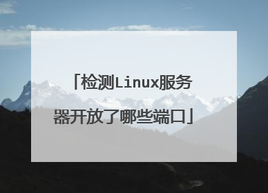 检测Linux服务器开放了哪些端口