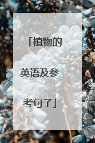 植物的英语及参考句子