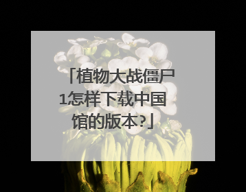 植物大战僵尸1怎样下载中国馆的版本?