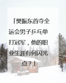 樊振东首夺全运会男子乒乓单打冠军，他的职业生涯有何闪光点？