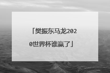 樊振东马龙2020世界杯谁赢了