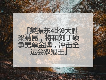 樊振东4比0大胜梁靖昆，将和刘丁硕争男单金牌，冲击全运会双冠王