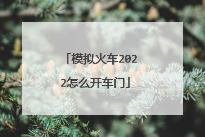 模拟火车2022怎么开车门