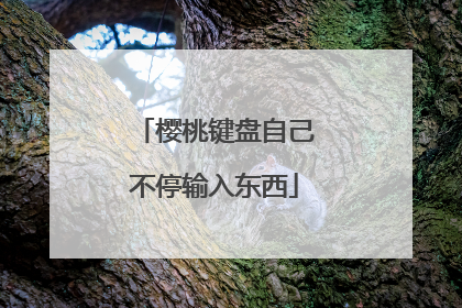 樱桃键盘自己不停输入东西