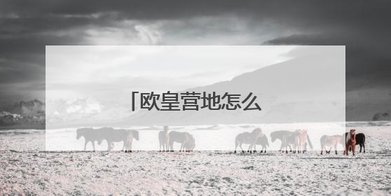 欧皇营地怎么无限充能量