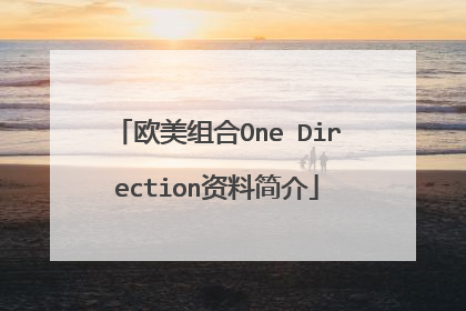 欧美组合One Direction资料简介