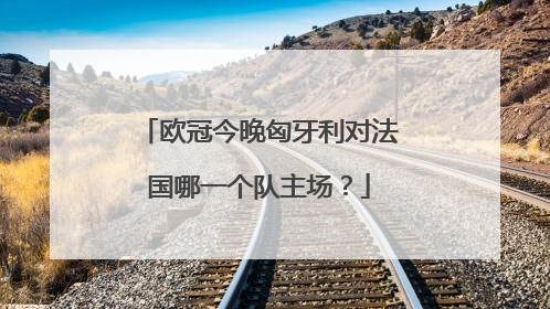欧冠今晚匈牙利对法国哪一个队主场？