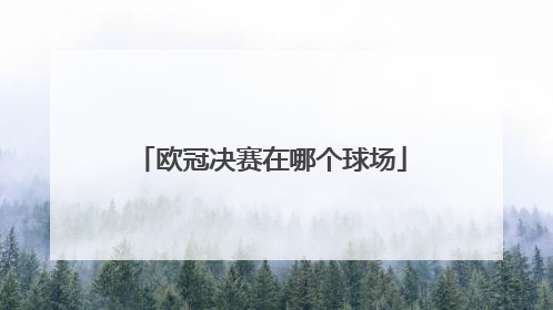 欧冠决赛在哪个球场