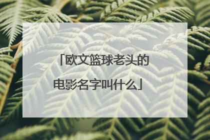 欧文篮球老头的电影名字叫什么