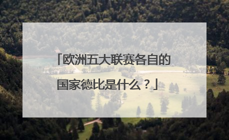 欧洲五大联赛各自的国家德比是什么?
