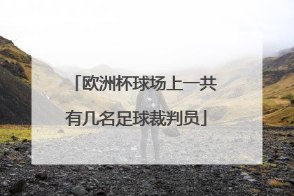 欧洲杯球场上一共有几名足球裁判员