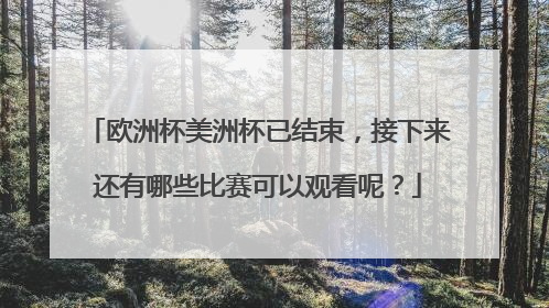 欧洲杯美洲杯已结束，接下来还有哪些比赛可以观看呢？