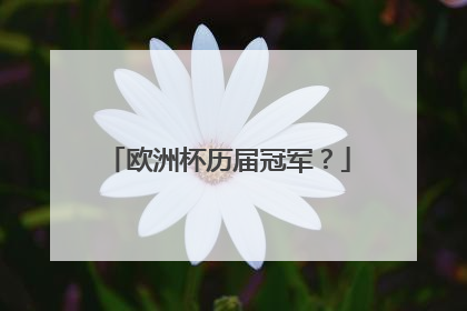 欧洲杯历届冠军？