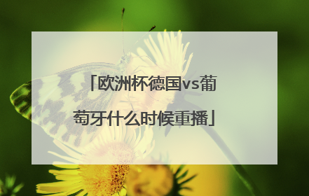 欧洲杯德国vs葡萄牙什么时候重播
