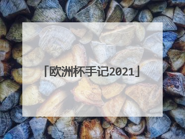 欧洲杯手记2021