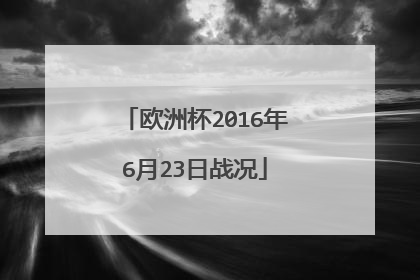 欧洲杯2016年6月23日战况