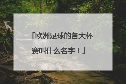 欧洲足球的各大杯赛叫什么名字!