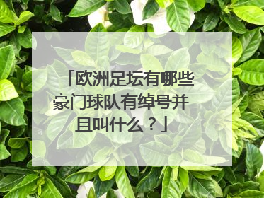 欧洲足坛有哪些豪门球队有绰号并且叫什么?