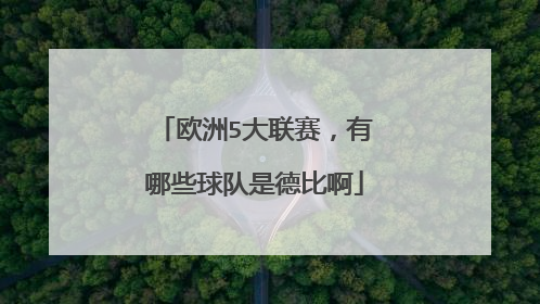 欧洲5大联赛，有哪些球队是德比啊