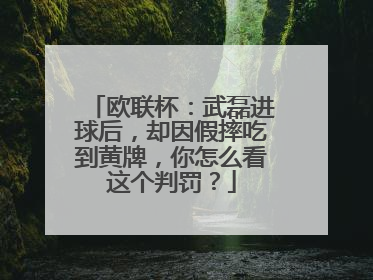 欧联杯：武磊进球后，却因假摔吃到黄牌，你怎么看这个判罚？