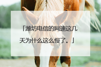 潍坊电信的网速这几天为什么这么慢了。