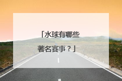 水球有哪些著名赛事？