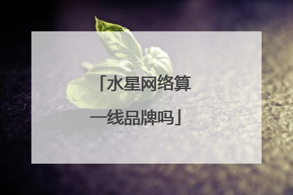 水星网络算一线品牌吗