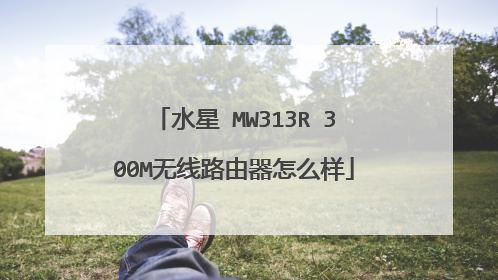 水星 MW313R 300M无线路由器怎么样