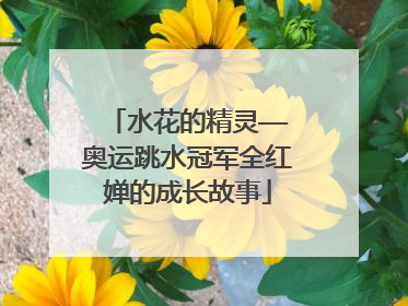 水花的精灵——奥运跳水冠军全红婵的成长故事