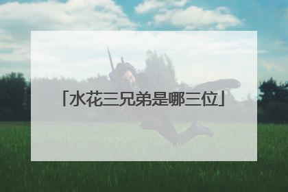 水花三兄弟是哪三位