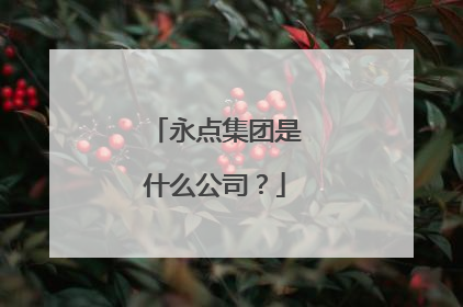 永点集团是什么公司?