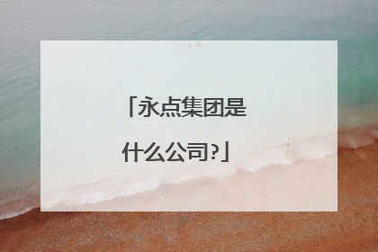 永点集团是什么公司?