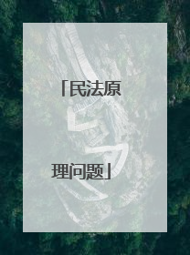 民法原理问题