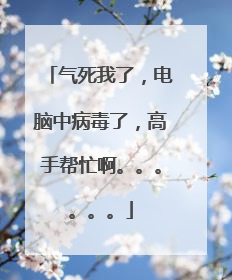 气死我了，电脑中病毒了，高手帮忙啊。。。。。。