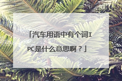 汽车用语中有个词IPC是什么意思啊?