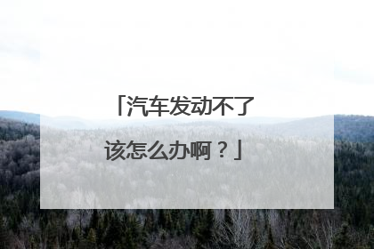 汽车发动不了该怎么办啊?