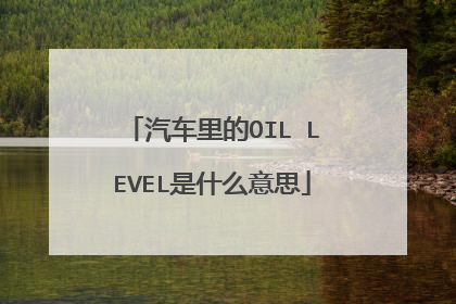 汽车里的OIL LEVEL是什么意思