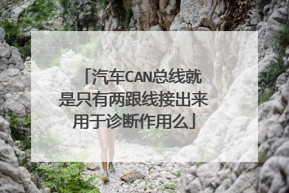 汽车CAN总线就是只有两跟线接出来用于诊断作用么