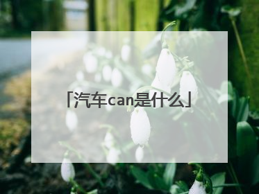 汽车can是什么