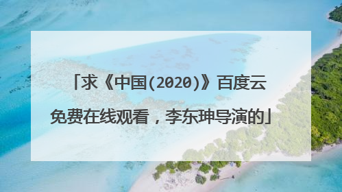 求《中国(2020)》百度云免费在线观看，李东珅导演的
