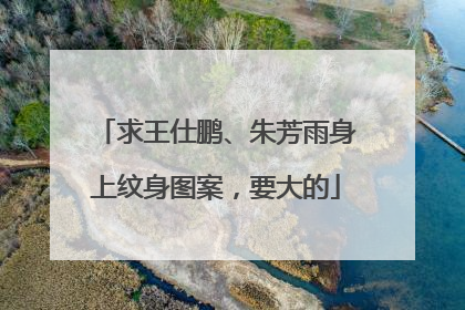 求王仕鹏、朱芳雨身上纹身图案,要大的