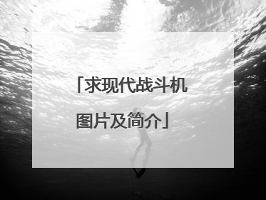求现代战斗机图片及简介